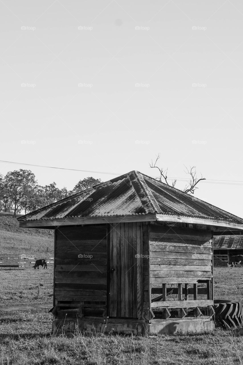 Country Farm Shed