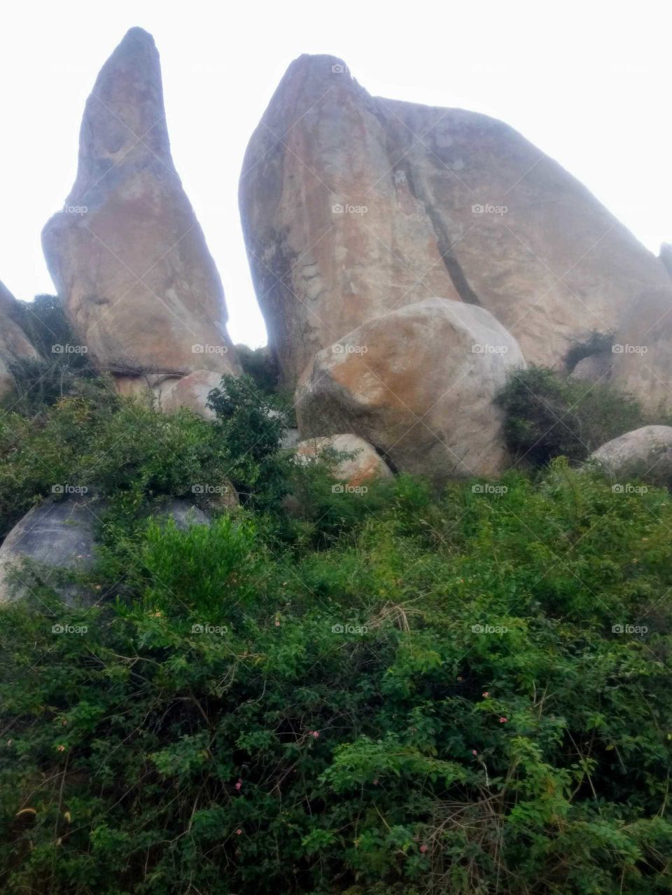 Natural Arrangement of Rocks
