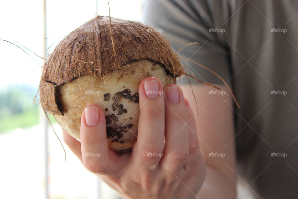 Coconut