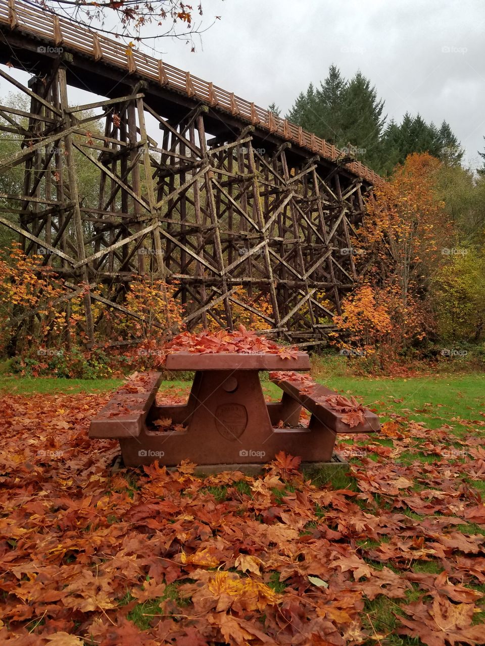 Fall colors near Portland OR