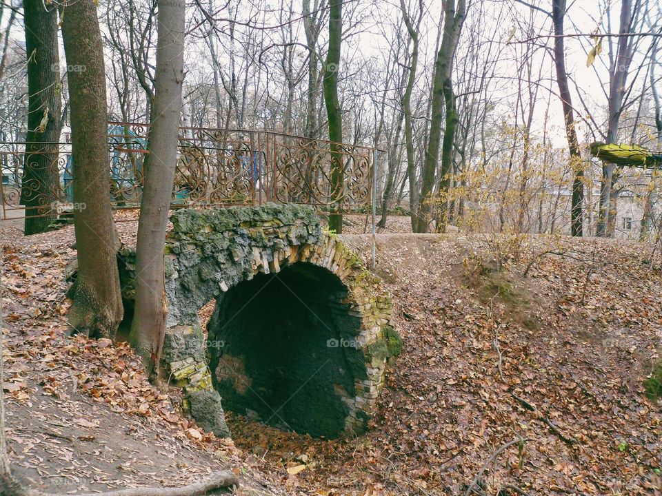 in autumn park in Kiev city, autumn