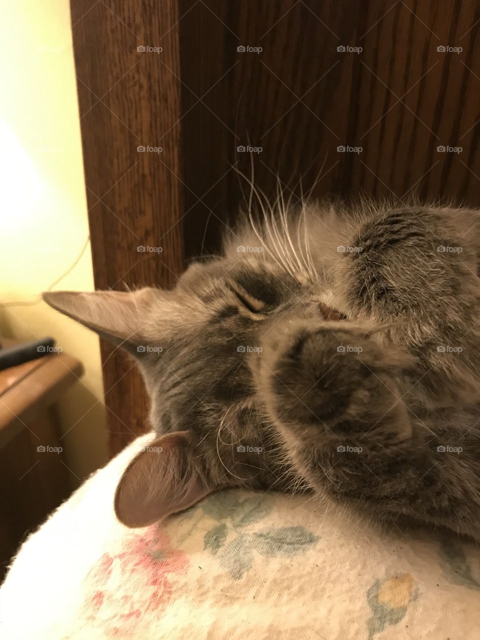 O and I nap too much, Yeah I have a Claw for You. 