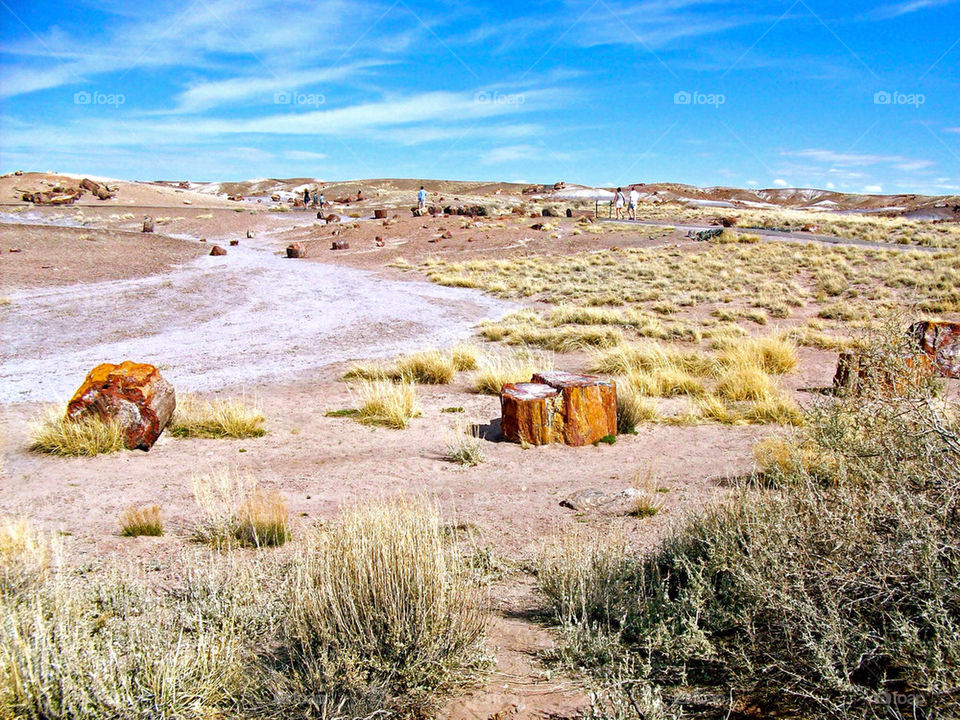 arizona national park petrified forest by refocusphoto