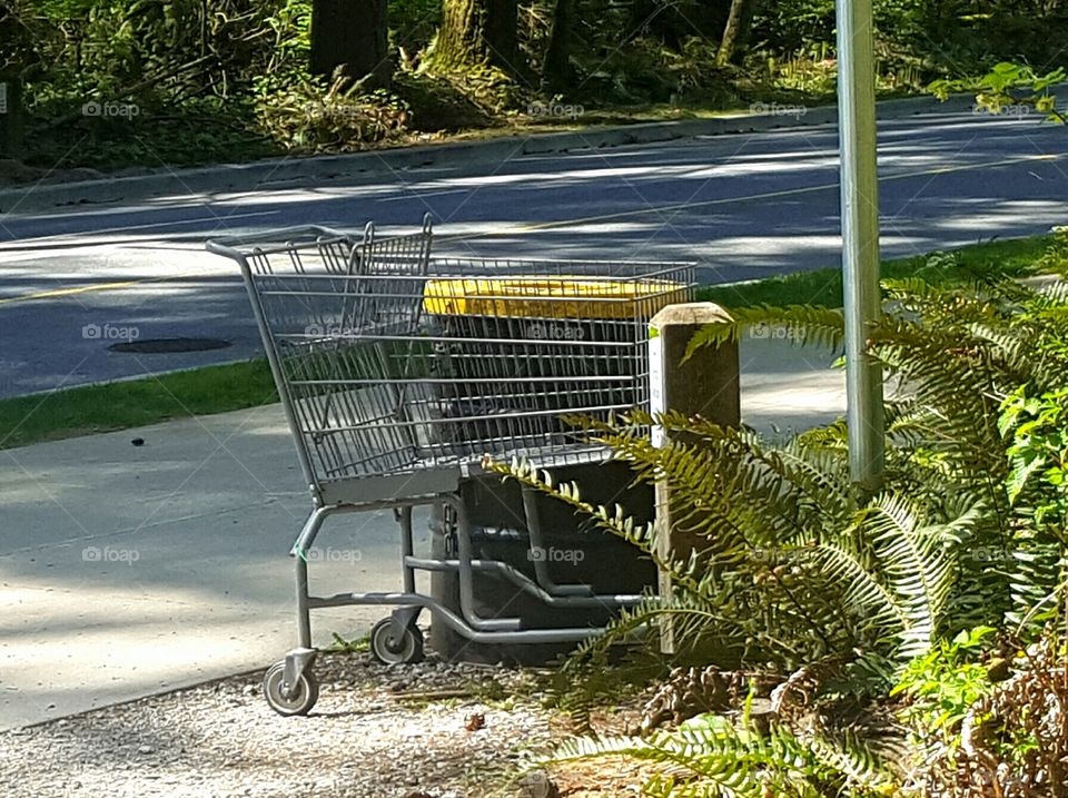Abandoned shopping cart at the edge of a park.