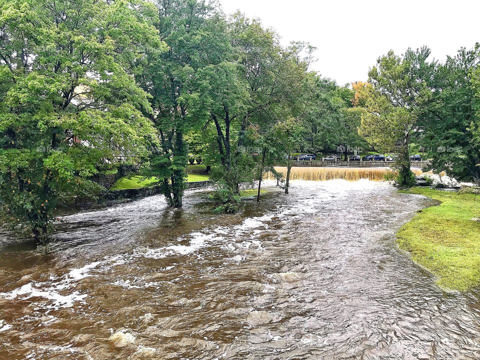 Flooding after the rain.... those trees were on an island