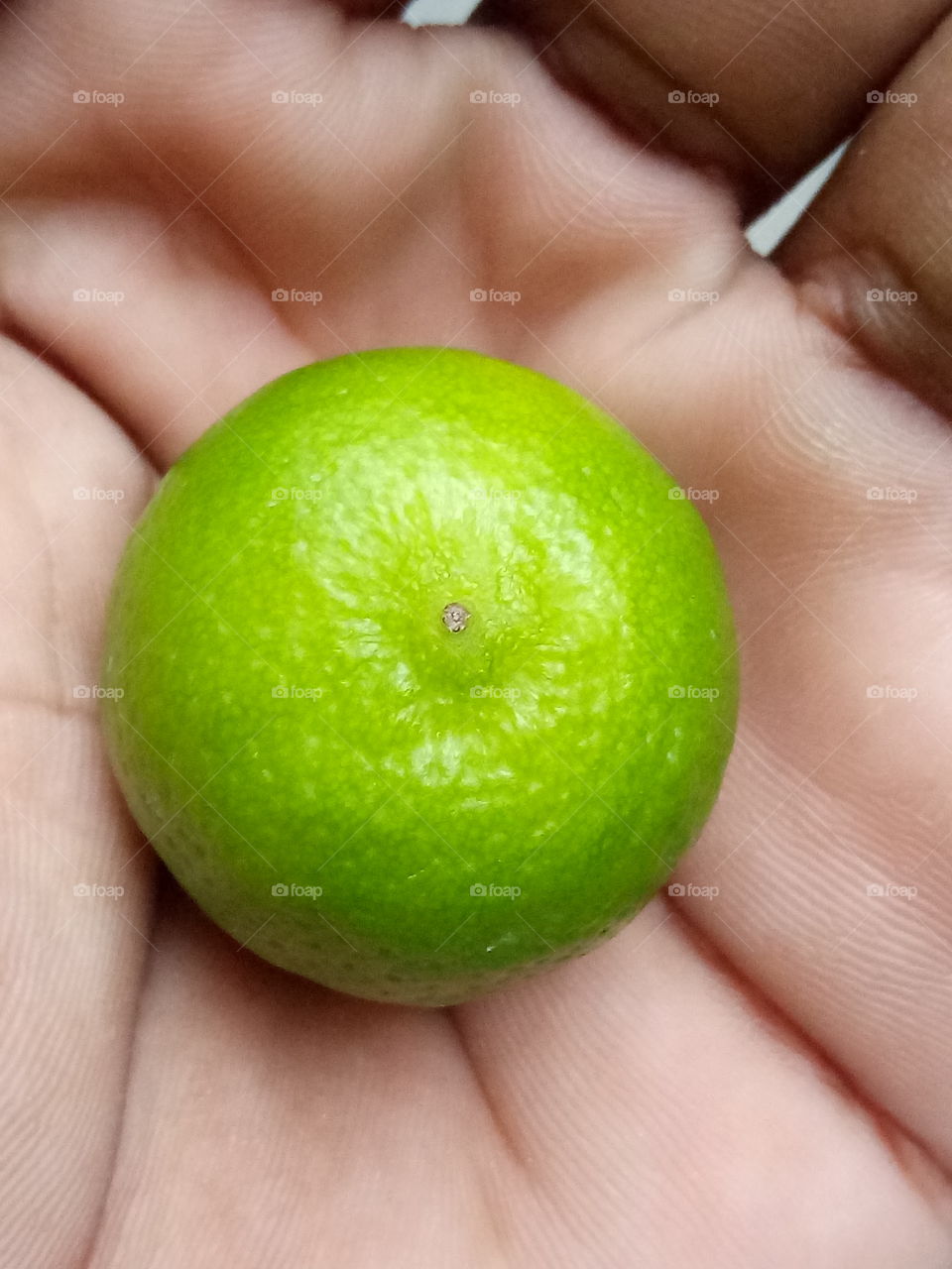 fruit shape