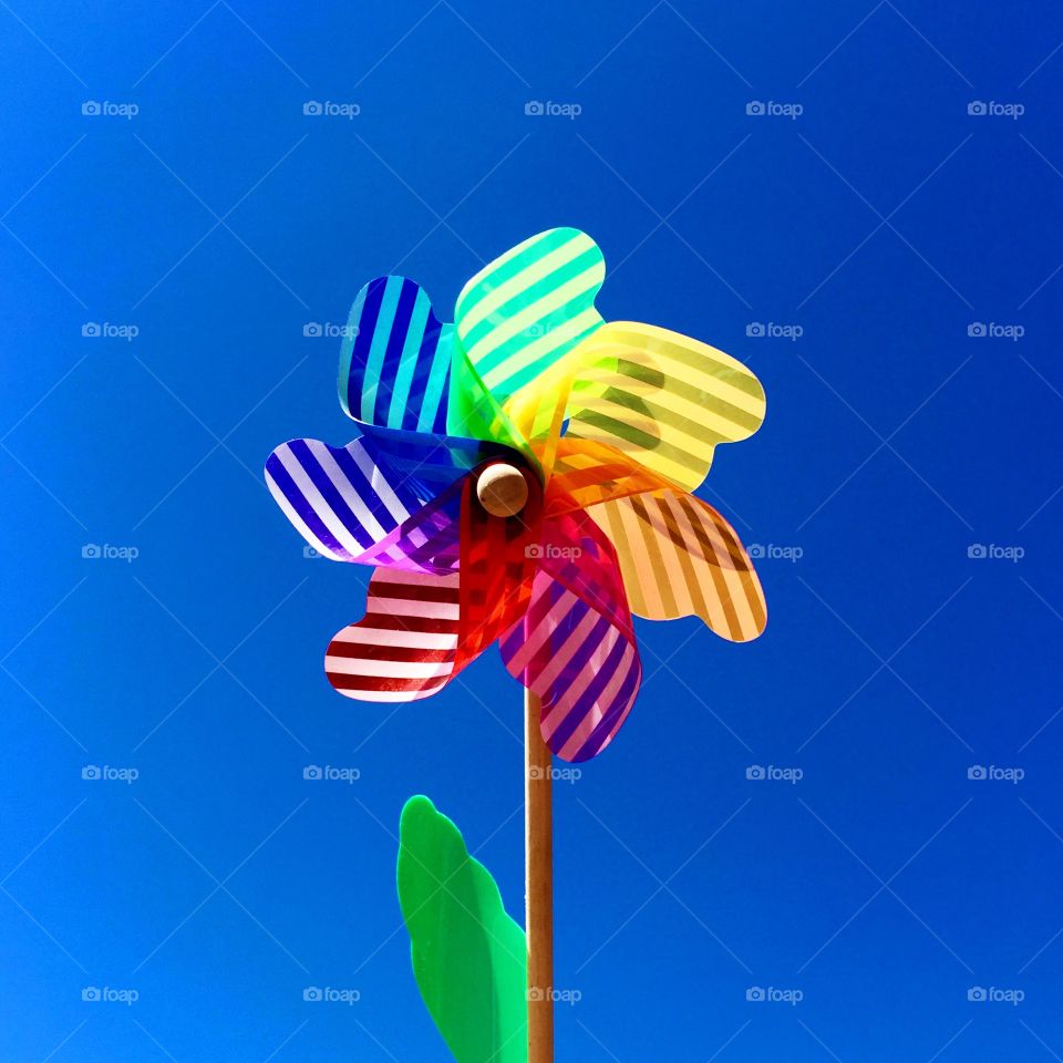 Pinwheel 