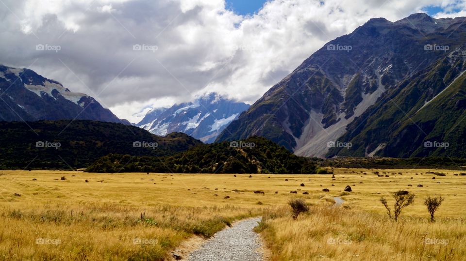 Path to the mountains 