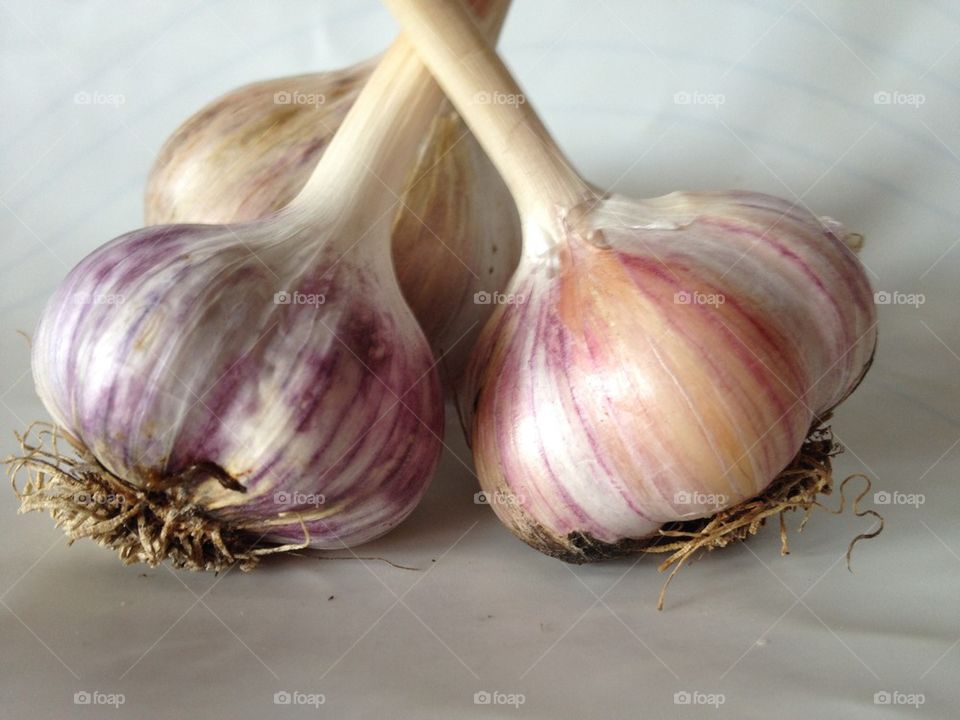 Garlic