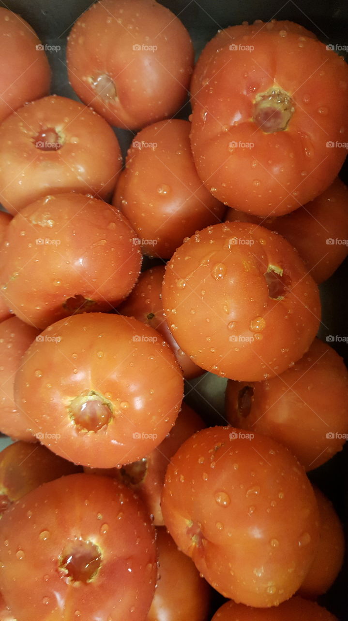 tomatoes