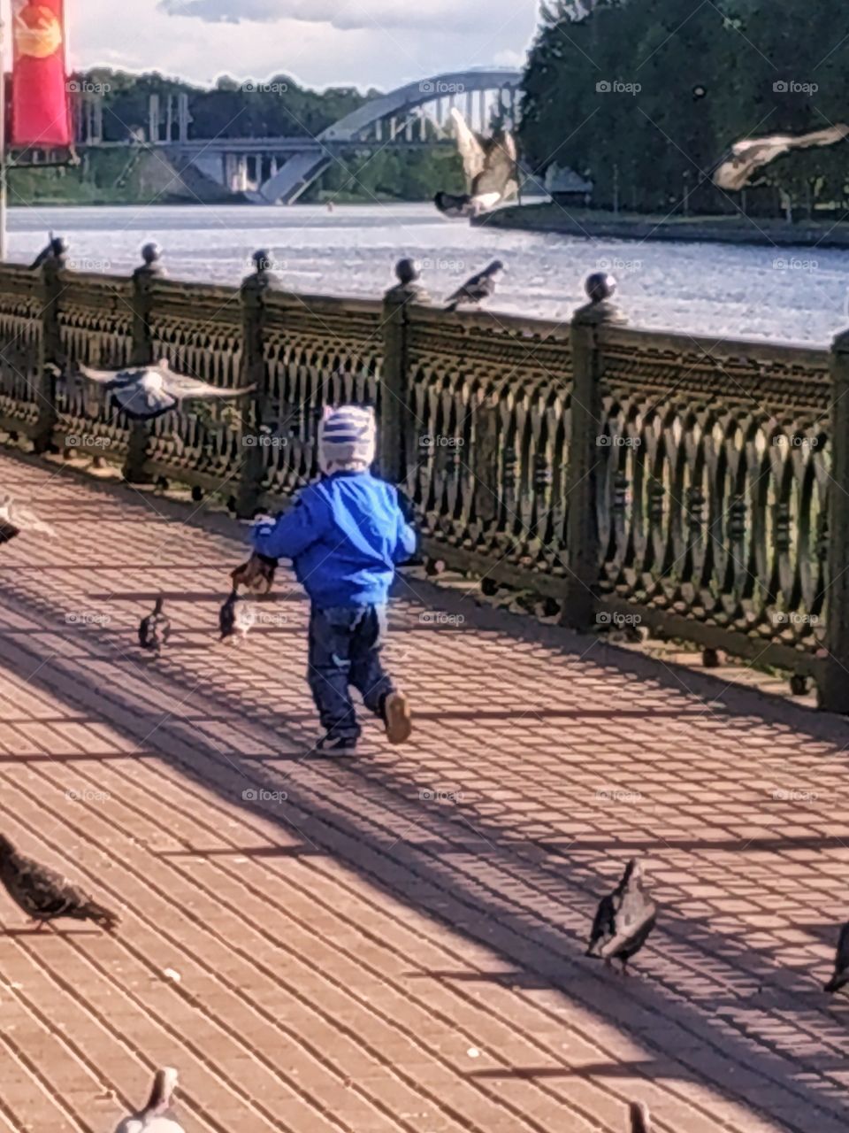 Child and doves.