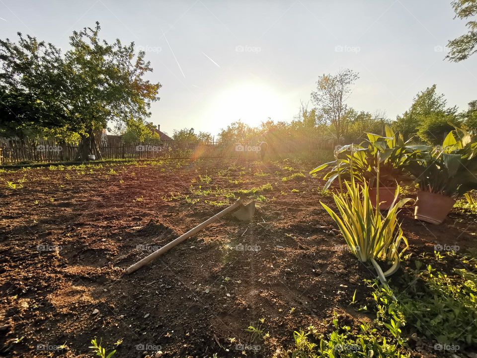 The sun warms the earth