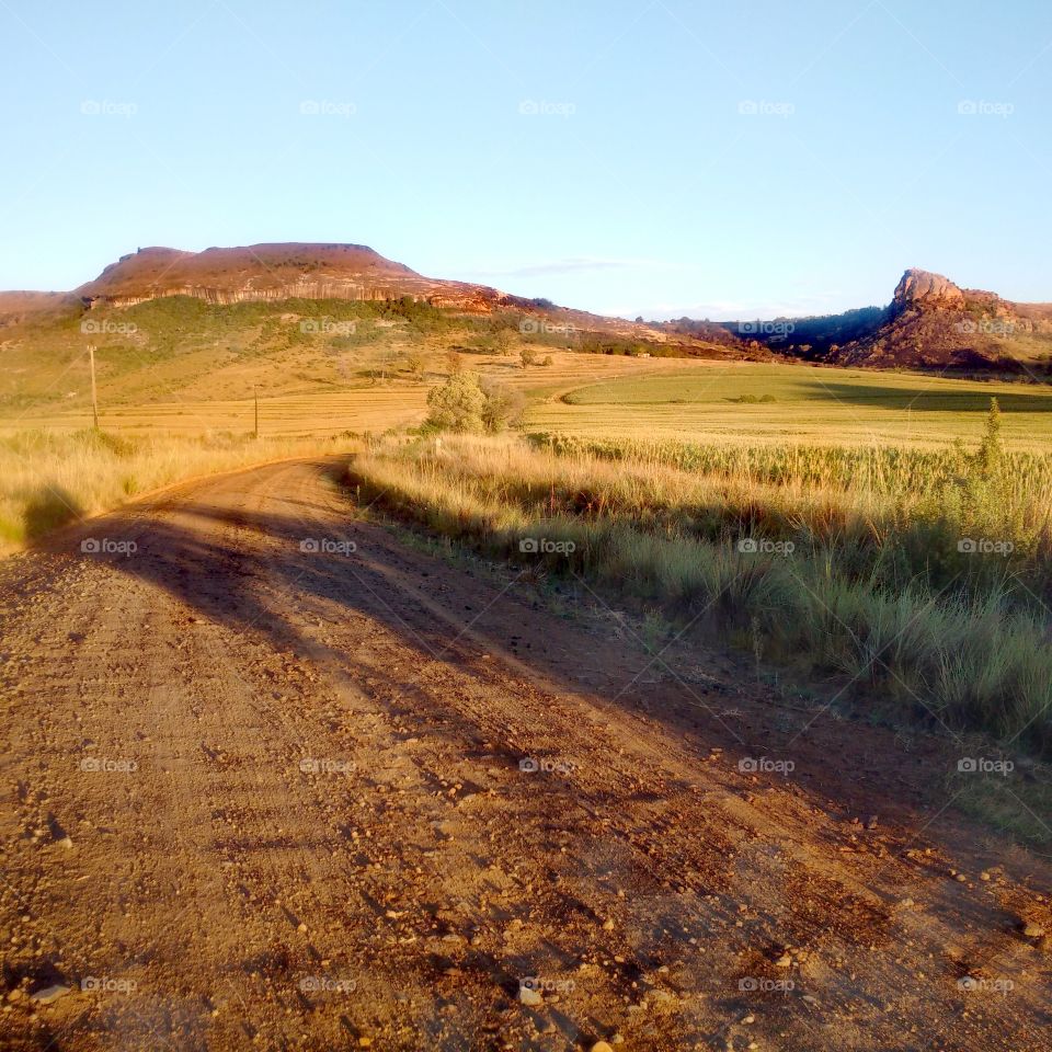 Dirt road between farms in rural Eastern Free State