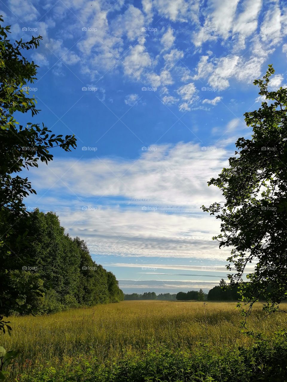 Summer. Sky.