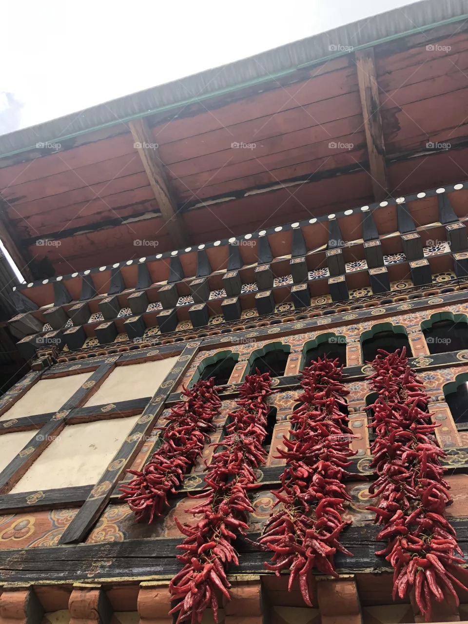 Red chilli
