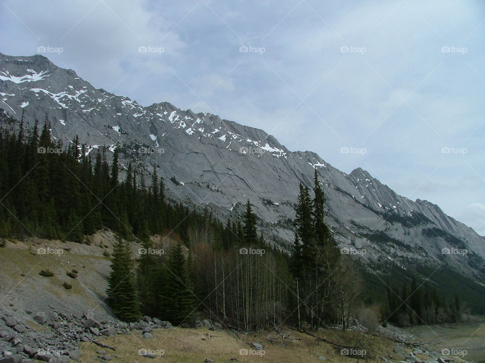 near Canmore