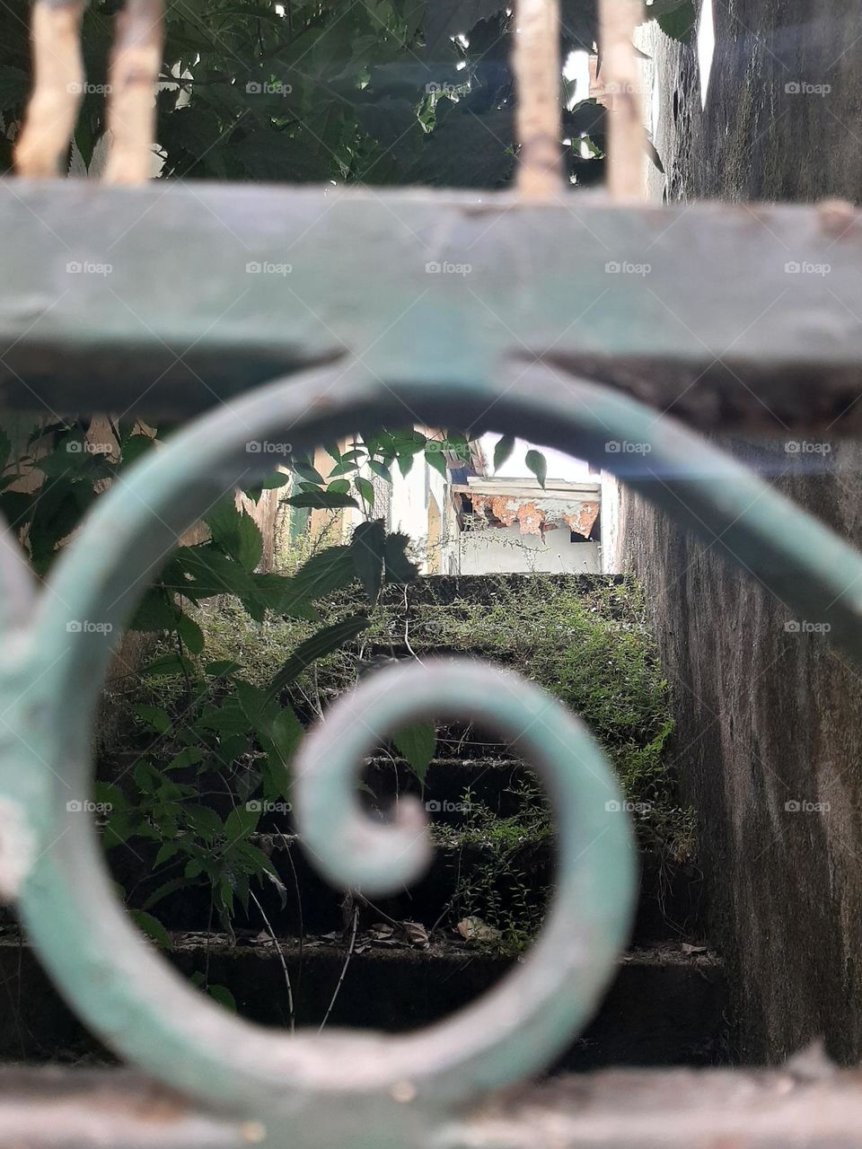 Nature and Age in Perspective