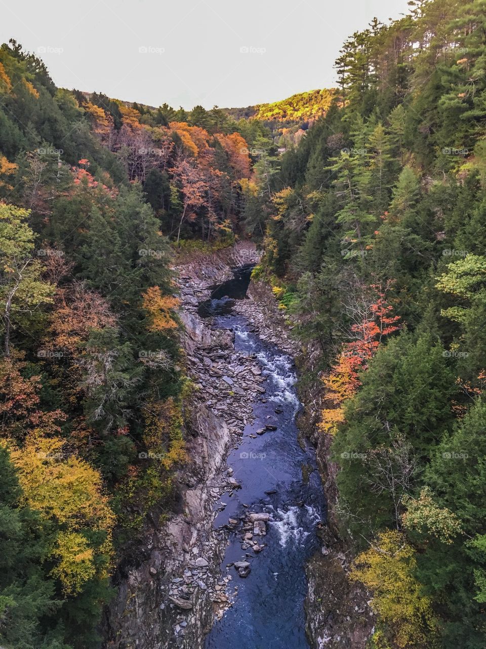 Fall beauty of Vermont - Quechee Gorge is turned almost purple in the wake of the setting sun, with the leaves just starting to change. 