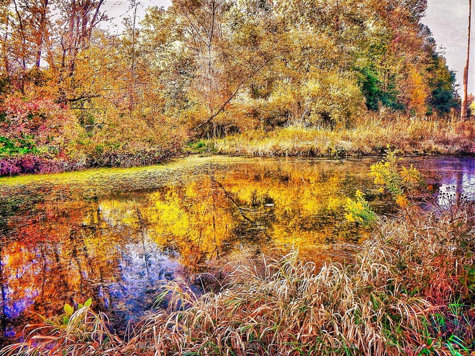 Fall reflection in the park