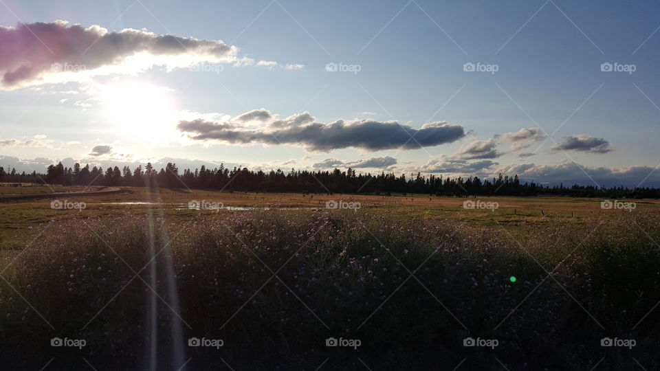 Sun rays in the field with clouds