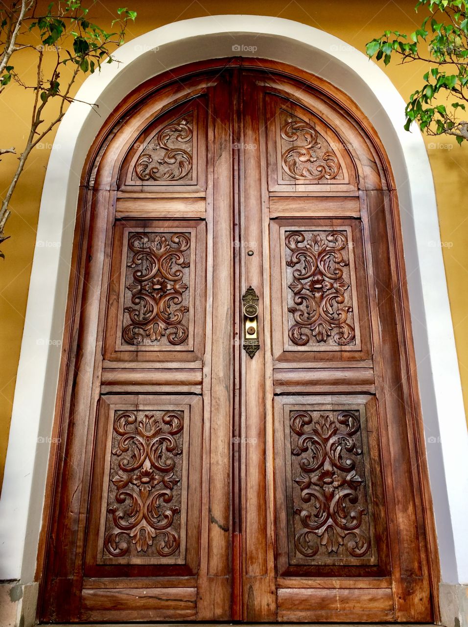 The front door of my uncles house in Salvador, Brazil. 