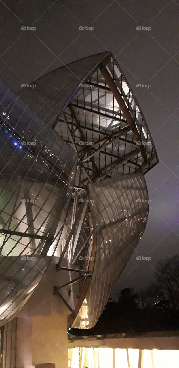 foundation Louis Viitton in Paris