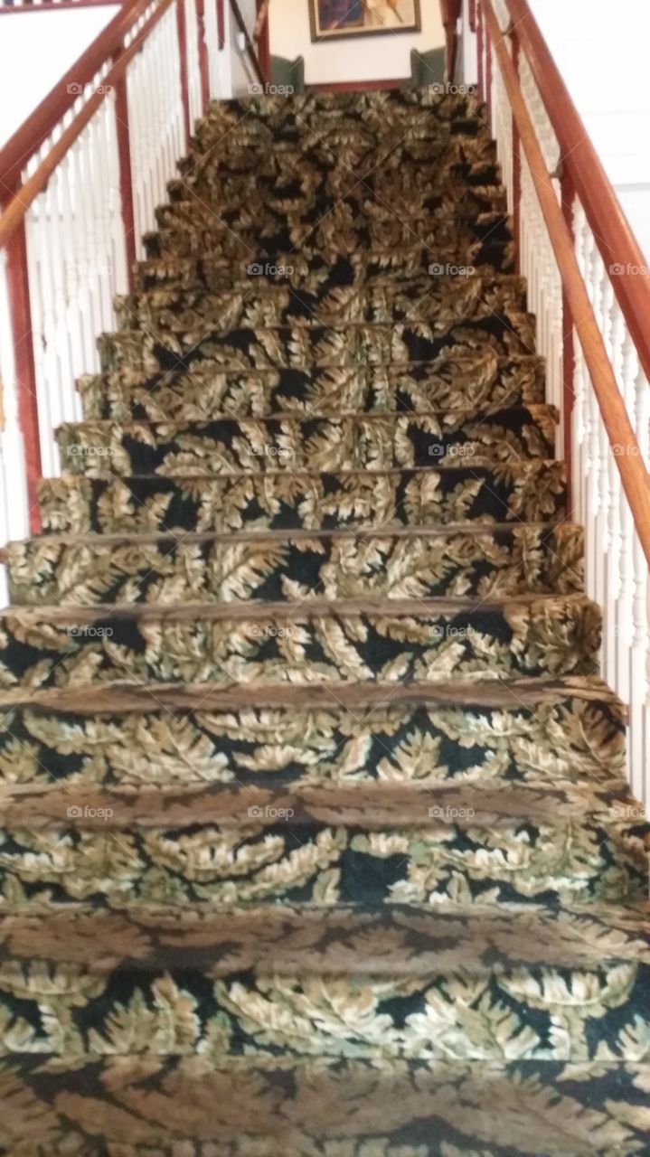 Claudia Sanders Carpet