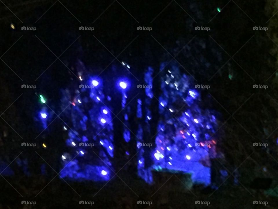 Christmas lights Denver botanical