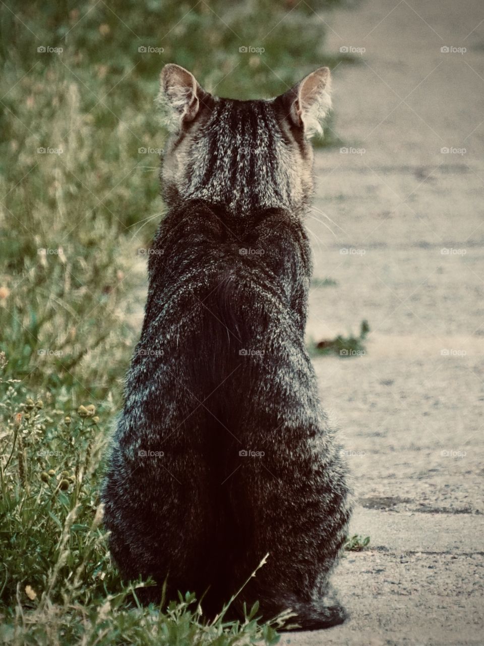 i feel with my back that you are photographing me