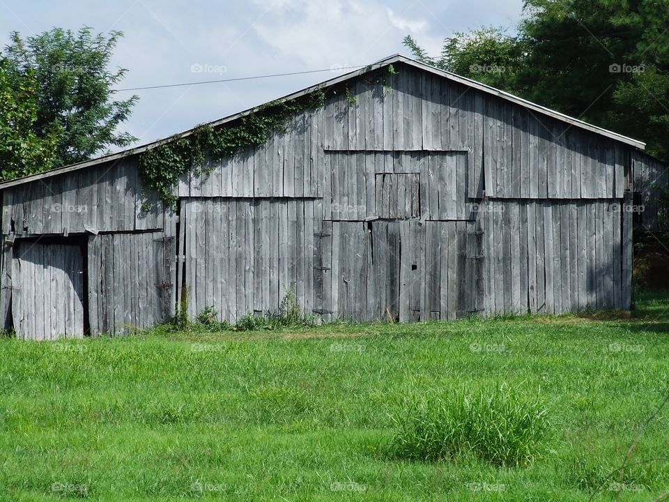 Southern barn