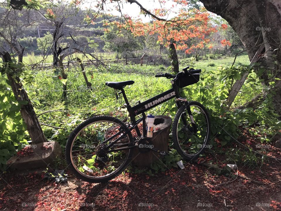 Montainbike. Brasil. 