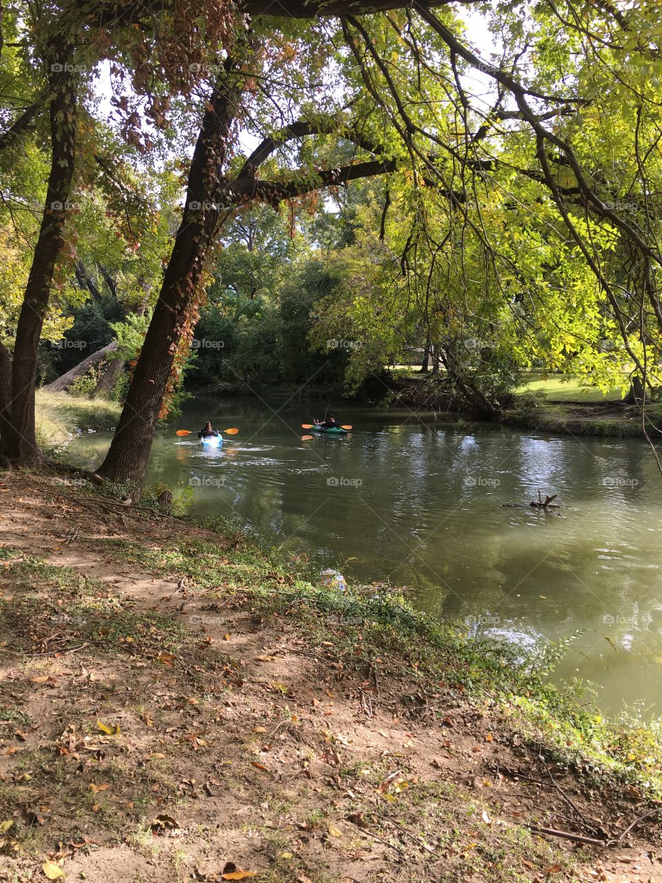 Bachman Branch Dallas tx 