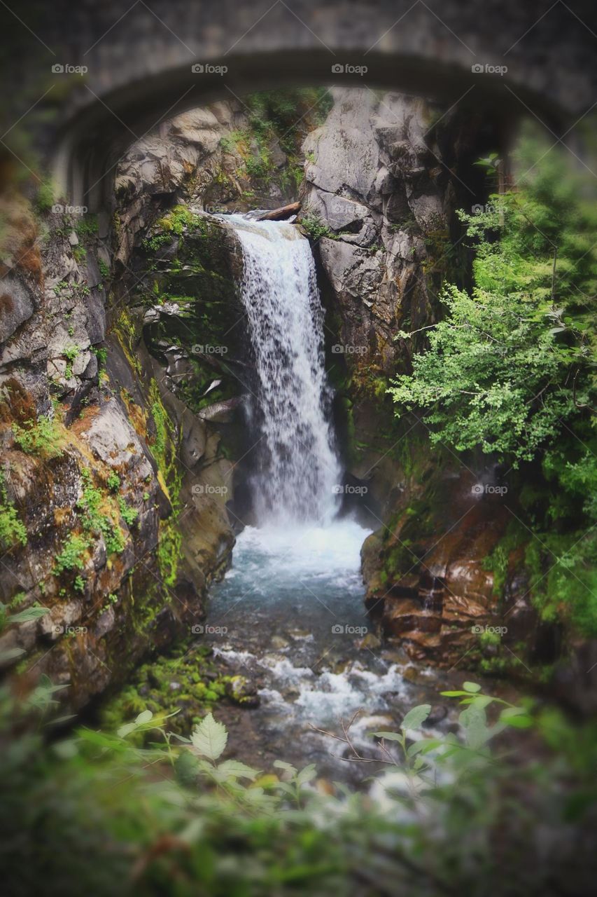 Christine Falls at Mount Rainier National Park hides away in the lush foliage of the surroundings