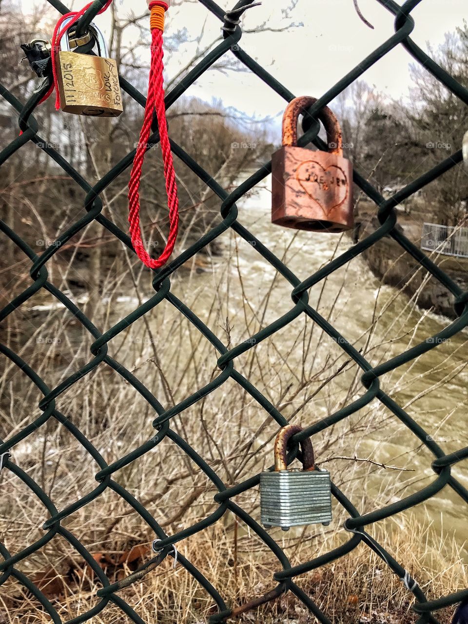 Locks on a fence