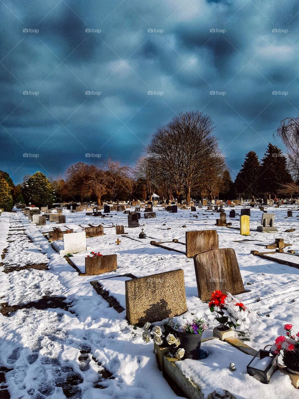 Snow scene in a cemetery with sunlit headstones, bright flowers and snow in the foreground and bare trees and evergreens with a dark threatening sky in the background