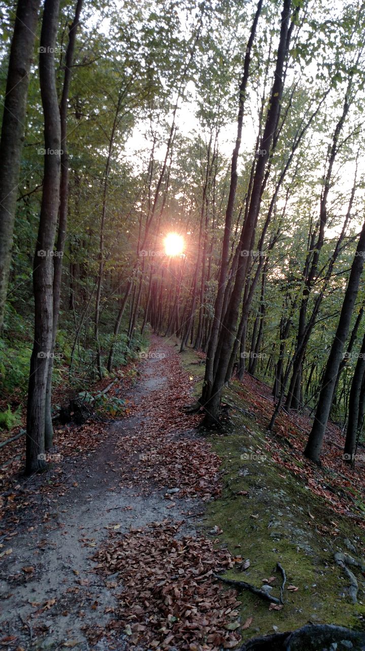 Sunset on a trail