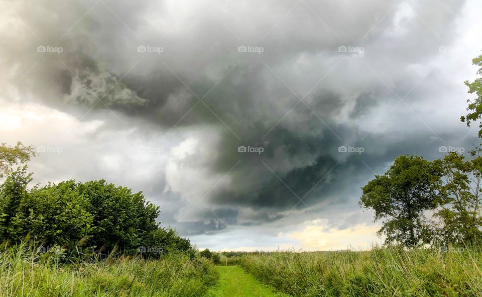 Dark stormy clouds over a green hiking trail in a nature reserve