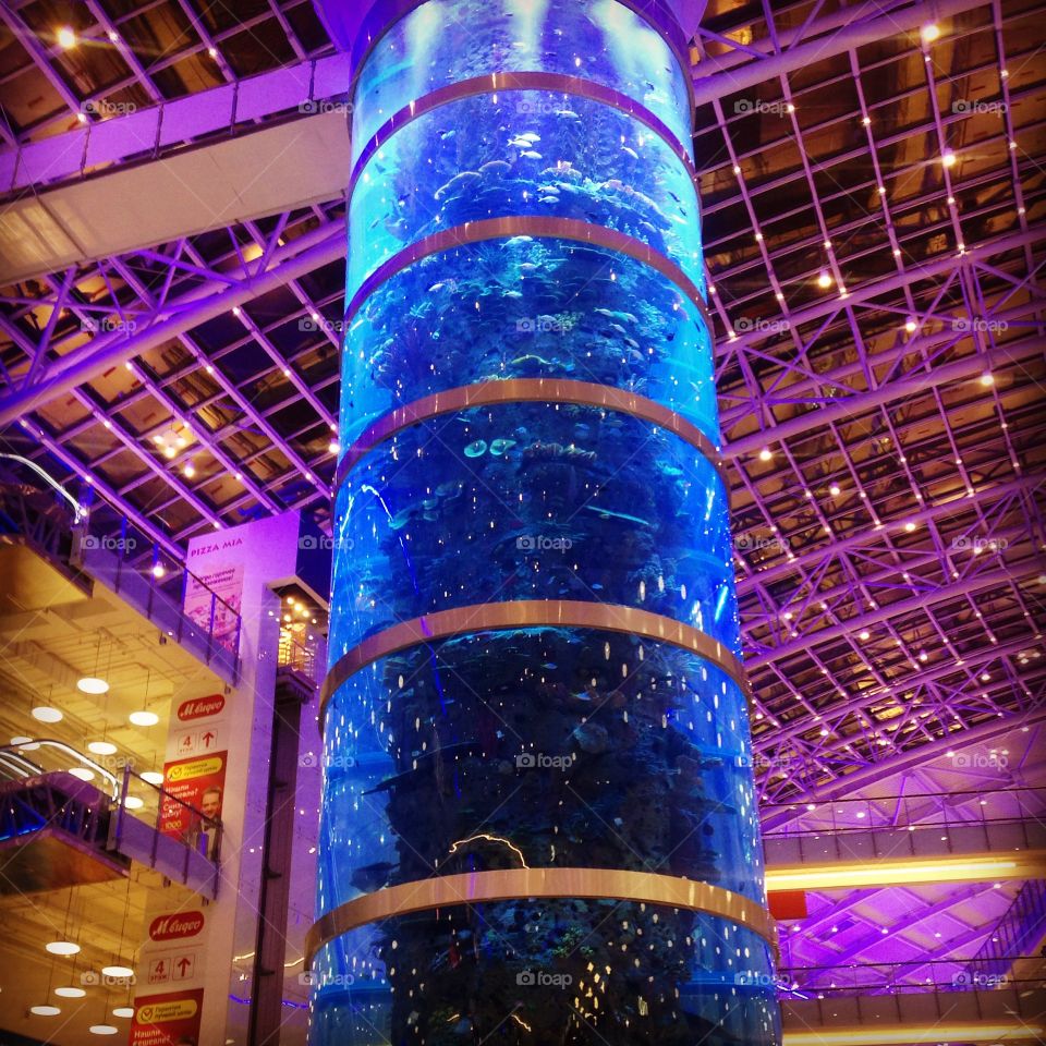 Moscow mall . Fish tank in a Moscow mall 