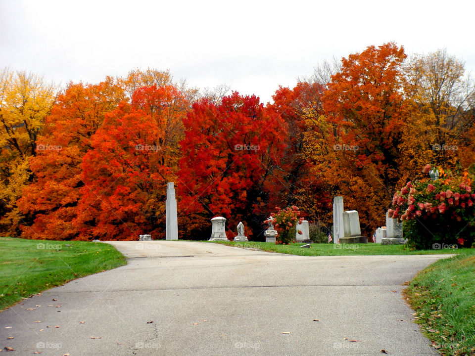 Beautiful trees burst with a rainbow of Autumn colors in peaceful Hope Cemetery in Barre, Vermont.