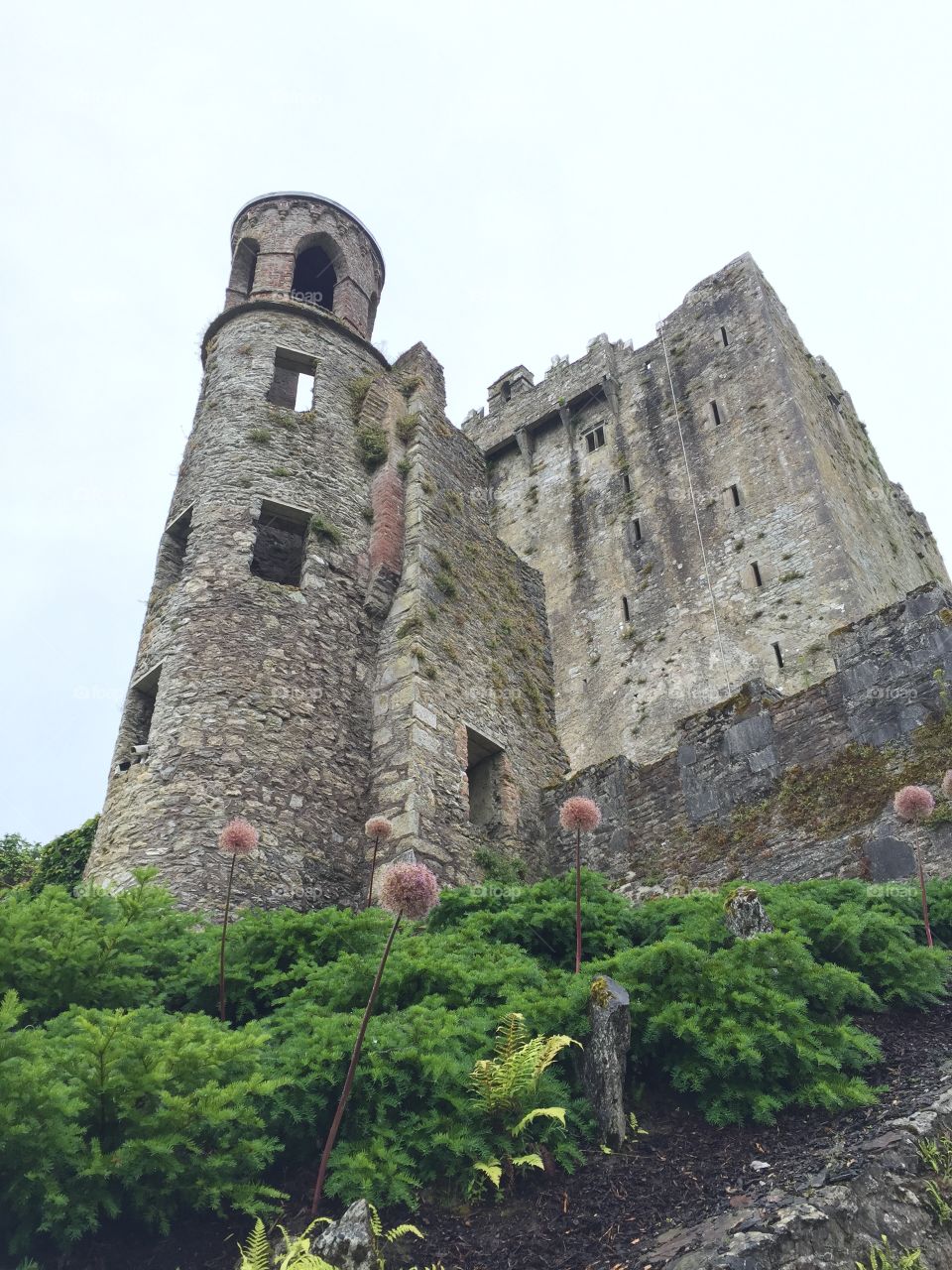 Blarney Castle, Ireland