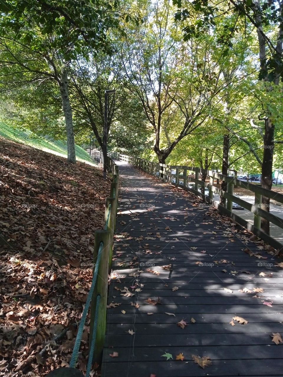 Park in Porto Portugal