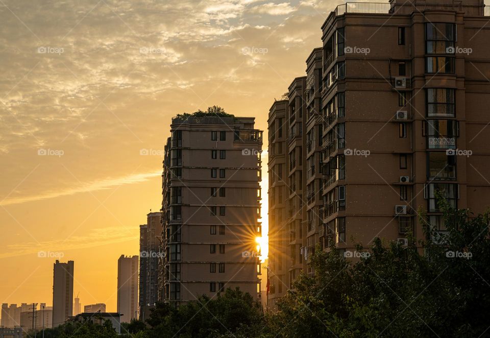 sunshine is passing through the buildings