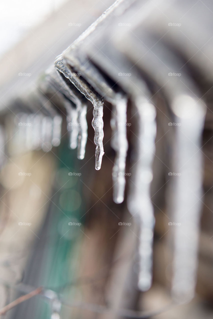 Icicles