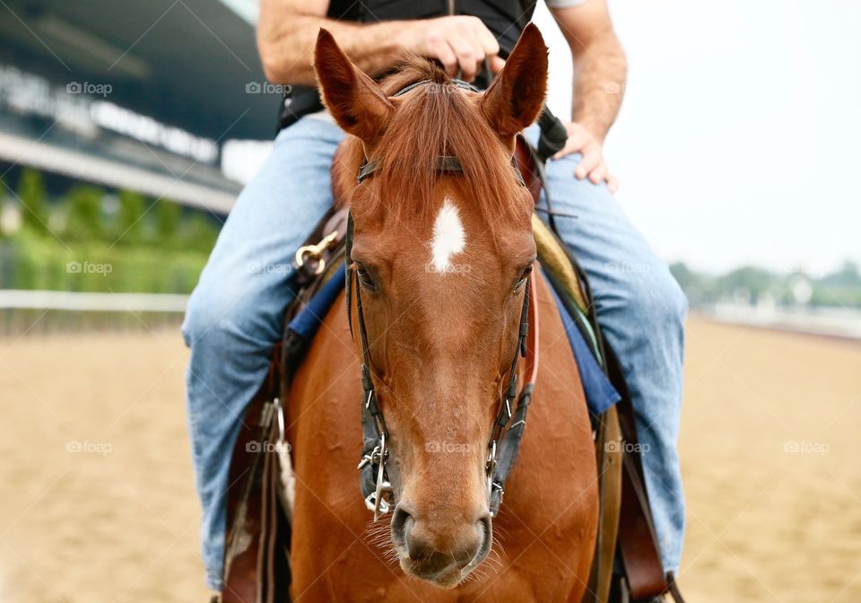 Person riding on horse