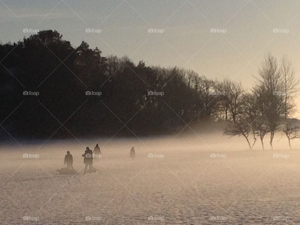 Foggy winter day