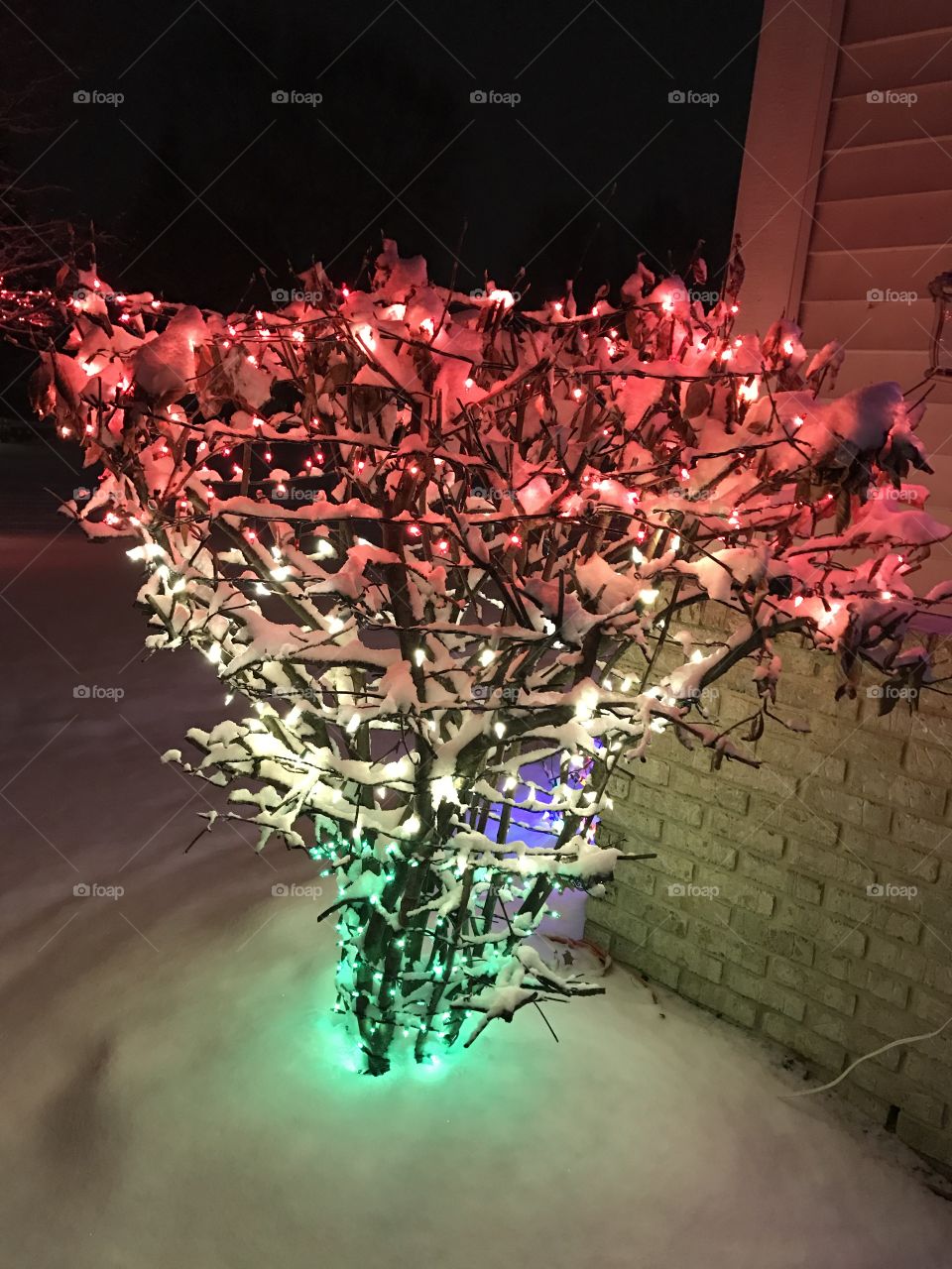 Snow covered Christmas lights 🎄