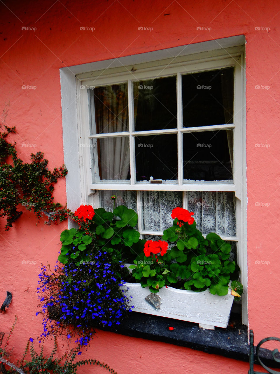 green flower blue red by kshapley