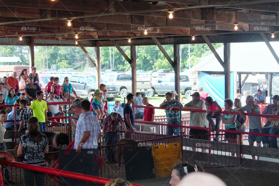 4H Fair