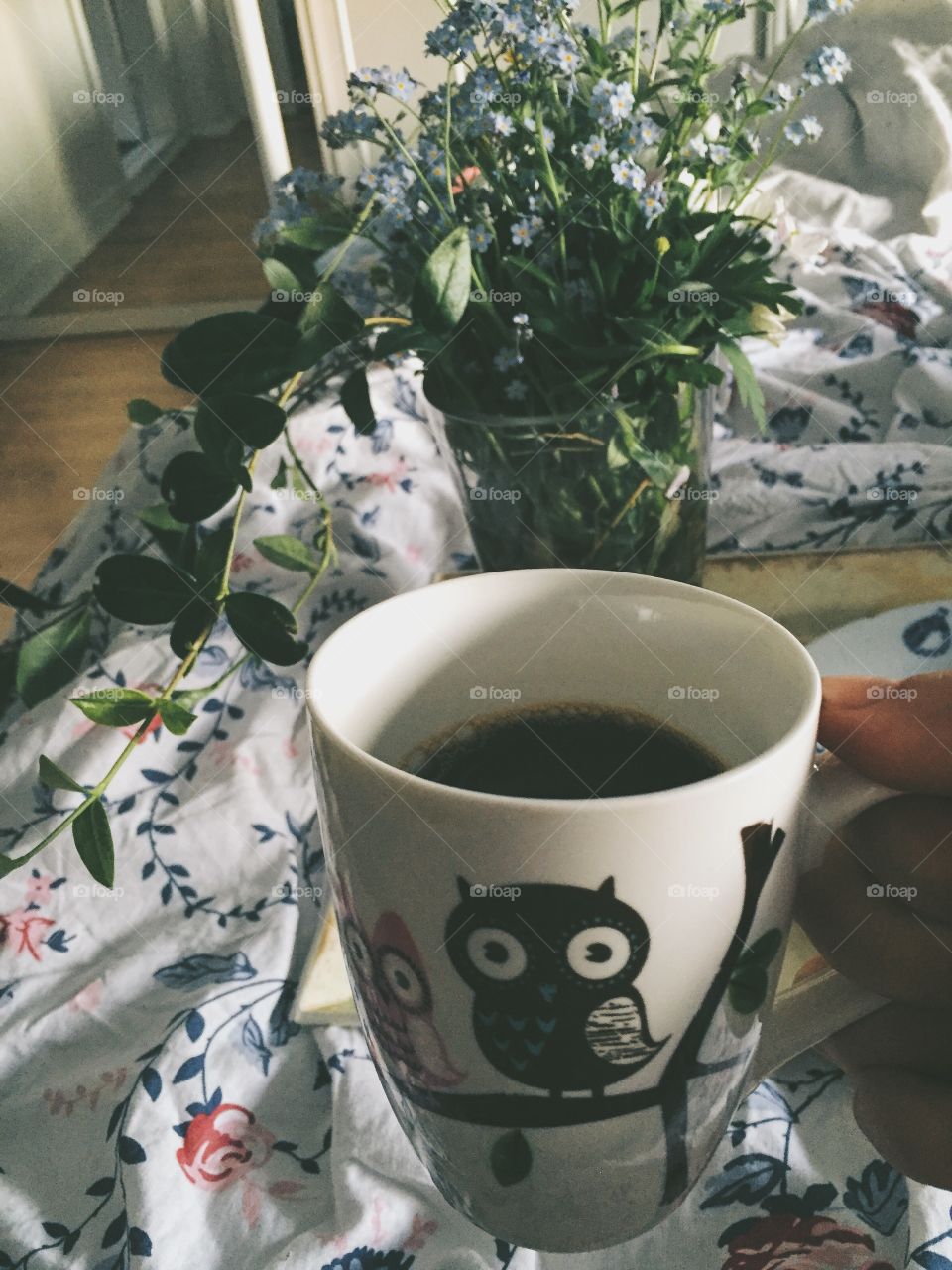 No Person, Flower, Coffee, Tea, Cup