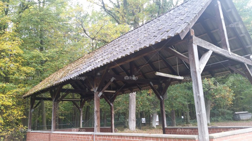 Pavilion in the woods